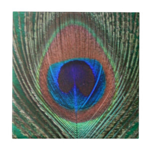 Grüne Pfau-Feder-Fliese Fliese