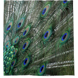 Grüne Pfau-Federn mit blauen Augen Duschvorhang