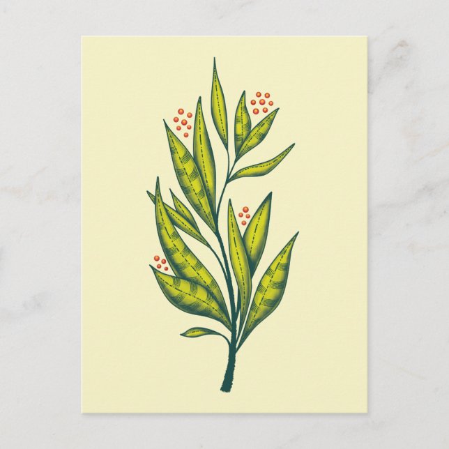 Grüne Pflanze Botanische Kunst Postkarte (Vorderseite)