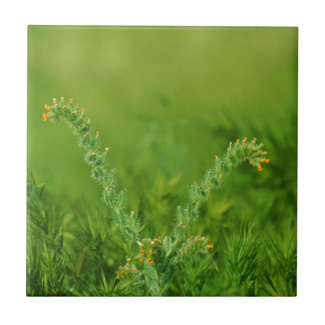 Grüne Pflanze Fliese (Vorderseite)