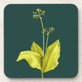 Grüne Pflanze Getränkeuntersetzer