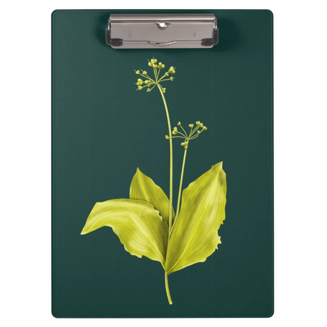 Grüne Pflanze Klemmbrett (Vorderseite)