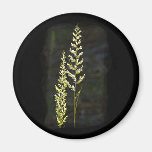 Grüne Pflanze Magnet