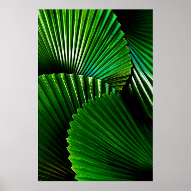 grüne Pflanze Poster (Vorne)