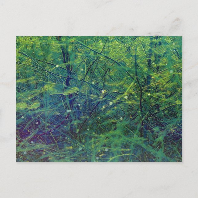 Grüne Pflanze Postkarte (Vorderseite)