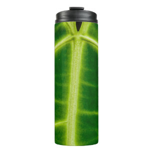 grüne Pflanze Thermosbecher