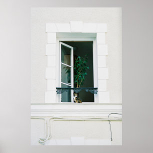 GRÜNE PFLANZE ÜBER DAS WEISSE FENSTER POSTER