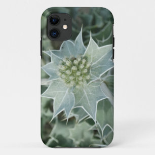 Grüne Pflanzen Dorn Sommer iPhone-Hülle Case-Mate iPhone Hülle