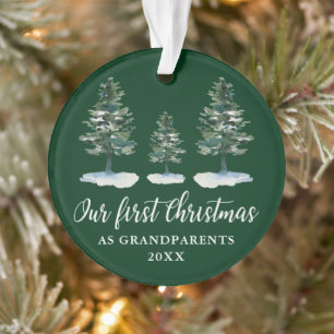 Grüne Pfoten Ornament