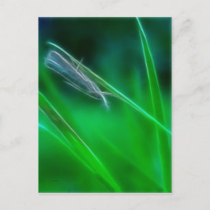 Grüne Postkarte
