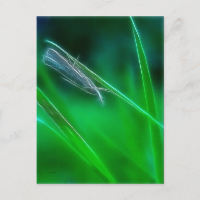 Grüne Postkarte (Vorderseite)