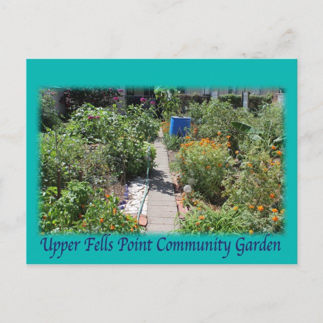 Grüne Postkarte Raumes UFPIA Baltimores (Vorderseite)