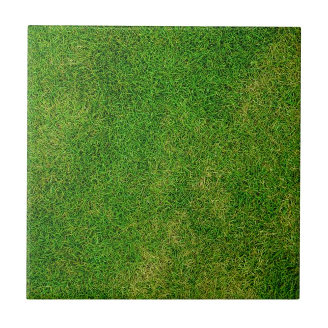 Grüne Rasenfliese Fliese (Vorderseite)