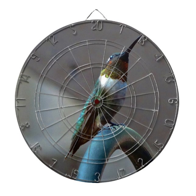 Grüne Ruby kleiner Hummingbird Dartscheibe (vorne)