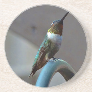 Grüne Ruby kleiner Hummingbird Getränkeuntersetzer
