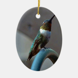 Grüne Ruby kleiner Hummingbird Keramik Ornament
