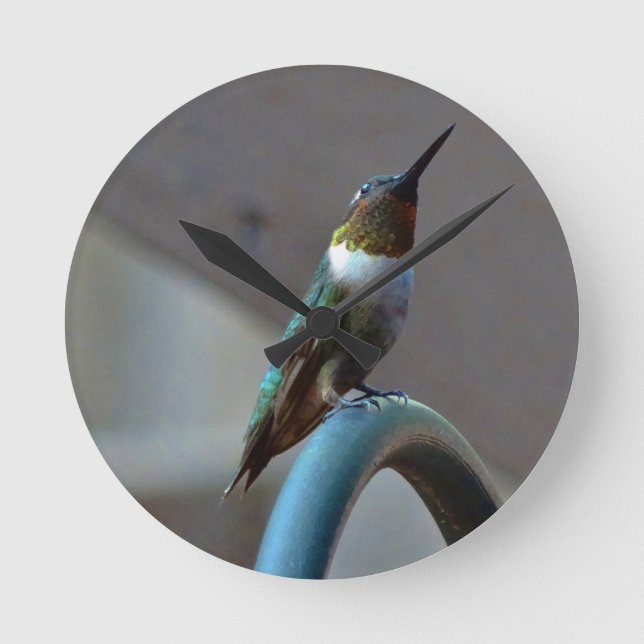 Grüne Ruby kleiner Hummingbird Runde Wanduhr (Vorderseite)