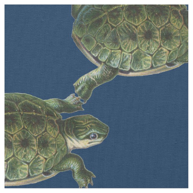 Grüne Schildkröte Stoff (Nahaufnahme)