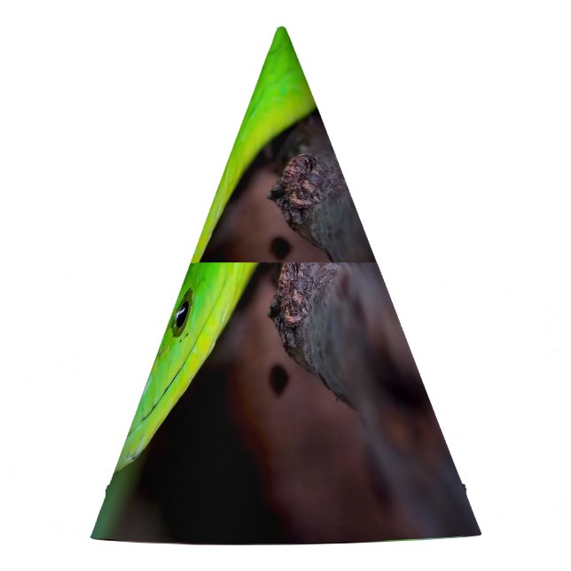 Grüne Schlangen-Pythonschlange Partyhütchen (Vorderseite)