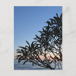 grüne Silhouette Postkarte