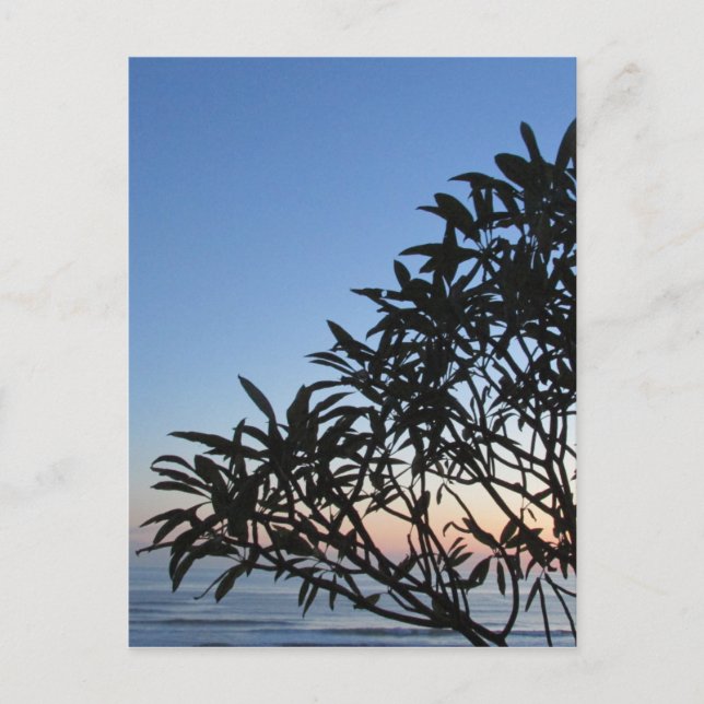 grüne Silhouette Postkarte (Vorderseite)