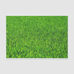 Grüne Sommer-Gras-Beschaffenheit Seidenpapier