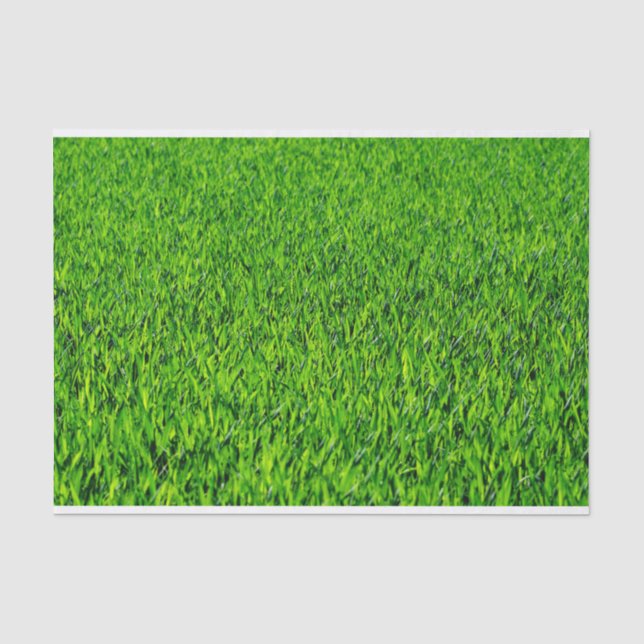 Grüne Sommer-Gras-Beschaffenheit Seidenpapier (Vorderseite)