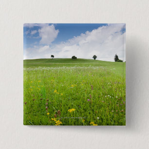 grüne Sommerwiesen im Bayern, ostallgäu mit Button