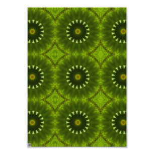 Grüne Sonnen Fotodruck