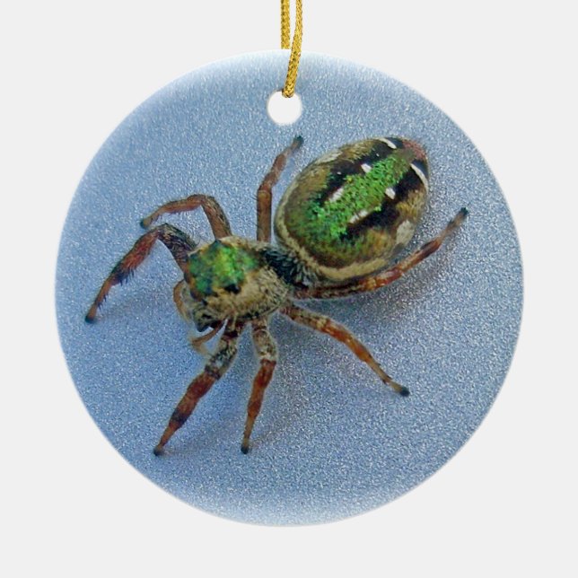 Grüne springende Spinnen-Weihnachtsverzierung Keramik Ornament (Vorne)