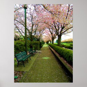 Grüne Straße Poster