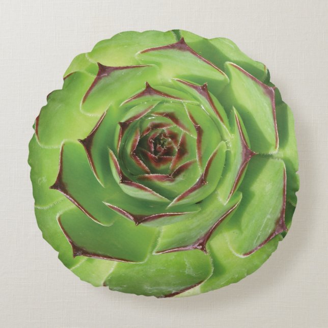 Grüne Sukkulente Blume Rundes Kissen (Vorderseite)