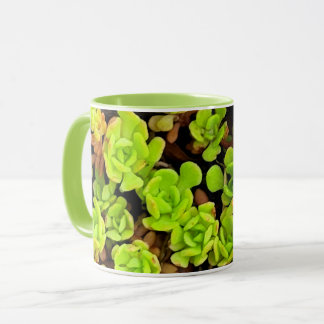 Grüne sukkulente Blume Tasse