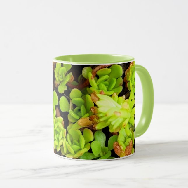 Grüne sukkulente Blume Tasse (VorderseiteRechts)