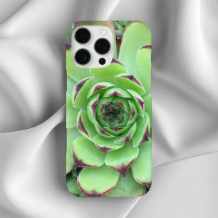 Grüne Sukkulente mit lila Spitzen Nahaufnahme iPhone 16 Pro Max Hülle