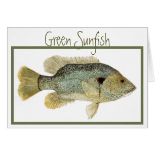 Grüne Sunfishkarte