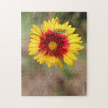 Grüne Sweat Bee Pollinating Wilde Blanketblume