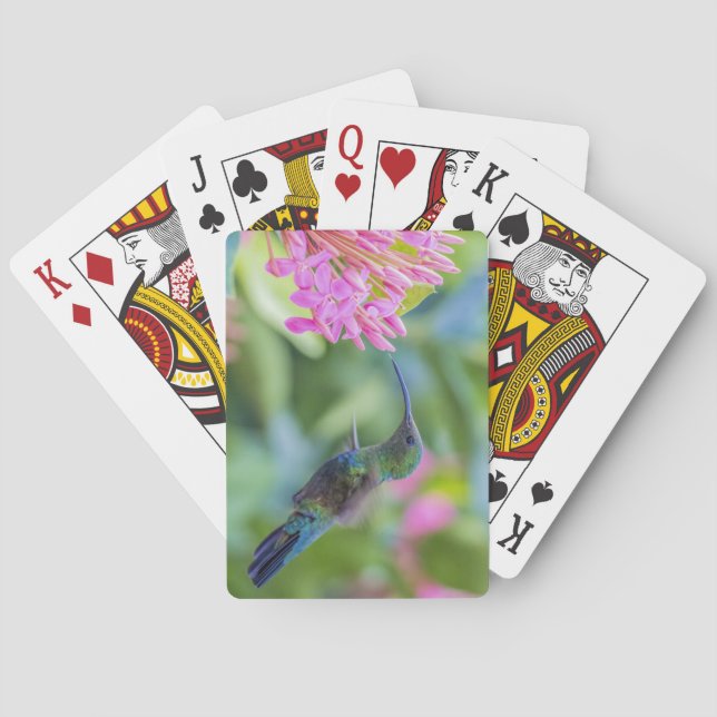 Grüne Throated Carib-Kolibri-Karten Spielkarten (Rückseite)