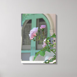 Grüne Tür und Rose - Martha's Vineyard Leinwanddruck