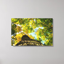 Grüne und gelbe Bäume