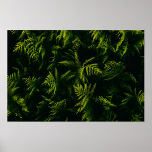 GRÜNE UND GELBE LEAF-PFLANZE POSTER