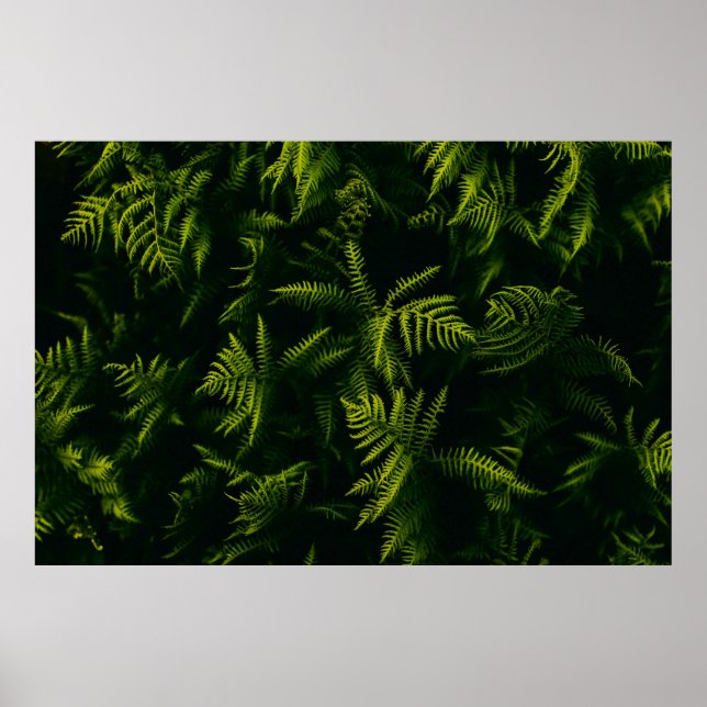 GRÜNE UND GELBE LEAF-PFLANZE POSTER (Vorne)