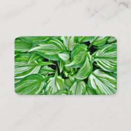 Grüne Visitenkarten Visitenkarte