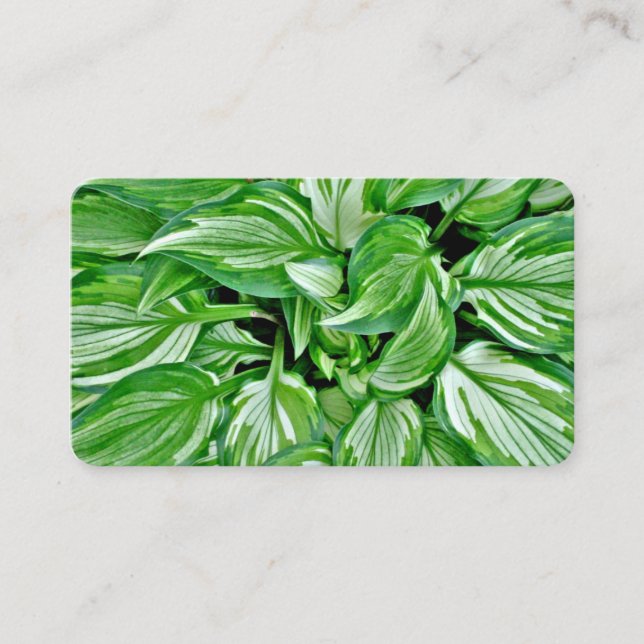 Grüne Visitenkarten Visitenkarte (Vorderseite)