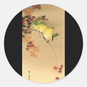 Grüne Vögel auf Ahornbaum, japanische Kunst c.1800 Runder Aufkleber