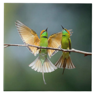 Grüne Vögel Frolisch auf dem Baumfoto Fliese