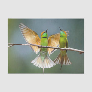 Grüne Vögel Frolisch auf dem Baumfoto Seidenpapier