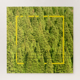 Grüne Wälder
