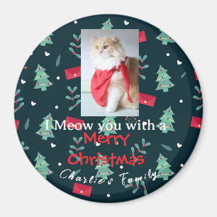 Grüne Weihnachtsfrau Niedliches Foto Magnet