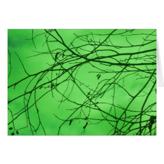 Grüne Zweige
